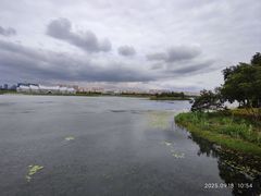 -贡湖湾湿地公园