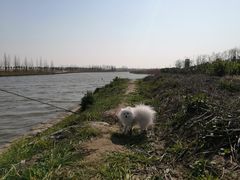 -春花秋色城市公园