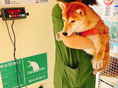 -艾贝尔宠物医院 ·内科全科(梁溪路店)