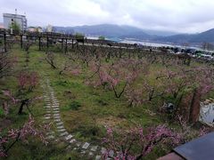 -河口景区