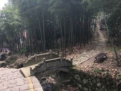 -莫干山风景区