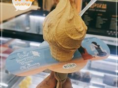 -野人先生现做冰淇淋(西安赛格店)