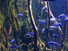 -华夏文旅海洋公园