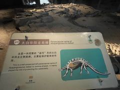 -自贡恐龙博物馆