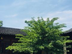 -宛园
