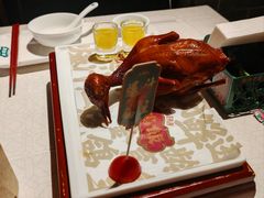 -大鸽饭(动物园店)