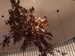 -大头椰·海南椰子鸡火锅(思明万象城店)