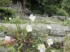 -宝岩生态观光园