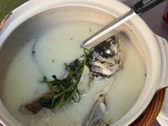-天乐农家鱼头王(天目湖店)