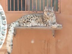 -青藏高原野生动物园
