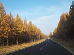 -塞罕坝国家级自然保护区