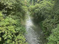 -青城山