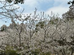 -堤角公园