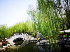 -西安青龙寺遗址景区