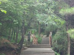 -王顺山国家森林公园