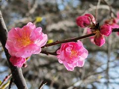 -渭河城市绿地运动公园