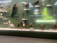 -国家自然博物馆