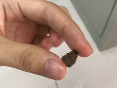 -食而百(北门大桥店)