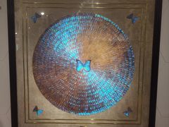 -上海昆虫博物馆