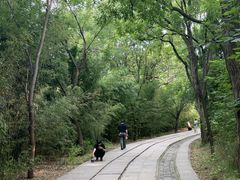 -淄博聊斋城景区