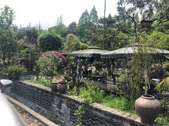 -青城甲(青城山店)