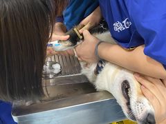 -萌兽医馆·犬猫专科·眼科中心·宠物医院(朝阳门分院)