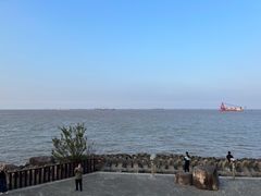 -上海滨江森林公园