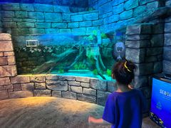 -沈阳海洋探索中心