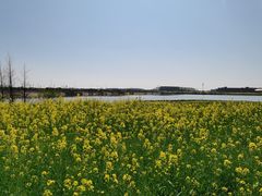 -梁子湖东篱老屋生态庄园