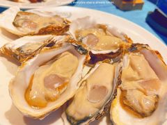 -千岛蚝高压锅生蚝·人参火锅(白云万达店)