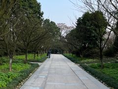 -南山植物园