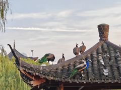 -武汉园博园(武汉自然博物馆)