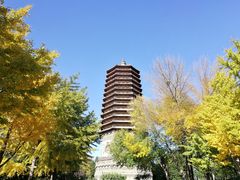 -玲珑塔公园