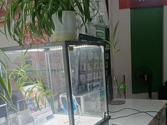 -自然之声助听器·呼吸机(公园路店)