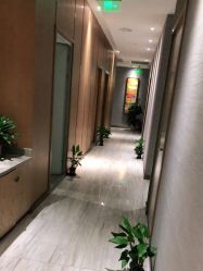 -苑苑vbeauty科技美容SPA