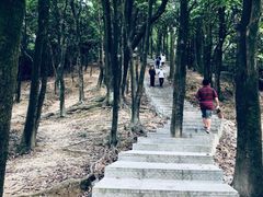 -火炉山森林公园