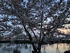 -玄武湖景区-情侣园游乐场