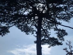 -秦岭终南山世界地质公园翠华山景区