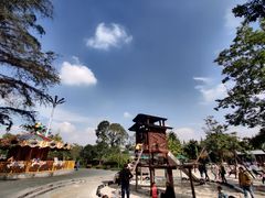 -成飞公园