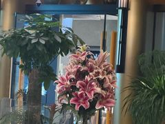 -润园四季椰子鸡火锅(卓越INTOWN店)