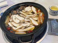 -蘑统田下·野生菌火锅