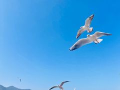 -滇池海埂公园
