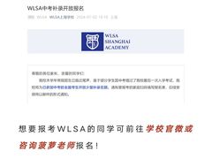 -菠萝国际教育专注Alevel·IGCSE·IB·AP·托福雅思培训辅导(静安校区)