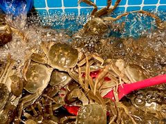 -焰江山海鲜牛排烤肉自助(锦华万达二星店)
