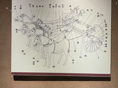 -洛阳周王城天子驾六博物馆
