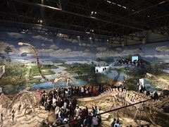 -自贡恐龙博物馆