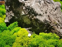 -淘米捞·米汤脆鲩鱼火锅(福田皇岗店)