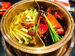 -镇江龙·火锅串串(武侯祠店)