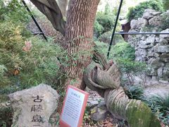 -绮园景区