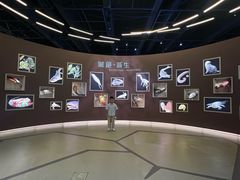 -香港科学馆